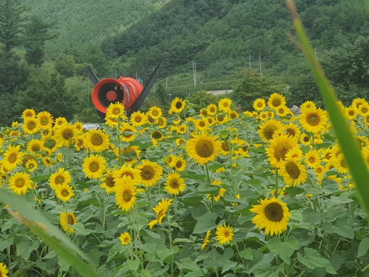 20240725_071953.jpg