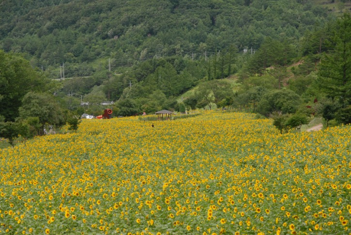 DSC_0469.JPG