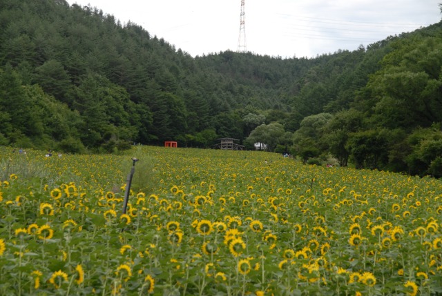 DSC_0320.JPG