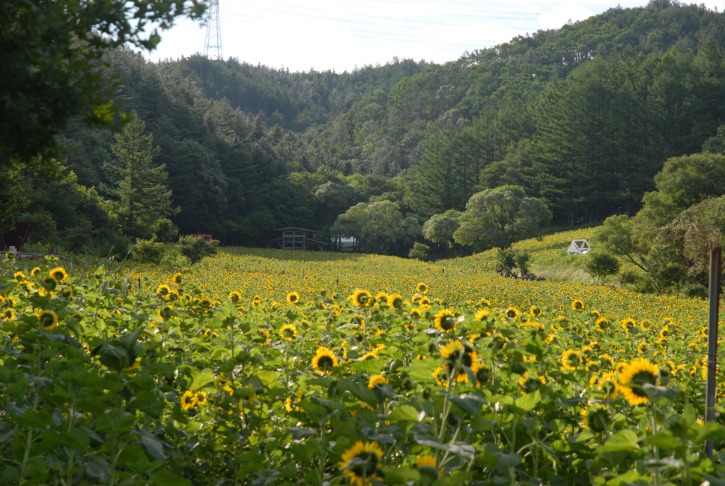 DSC_0395.JPG